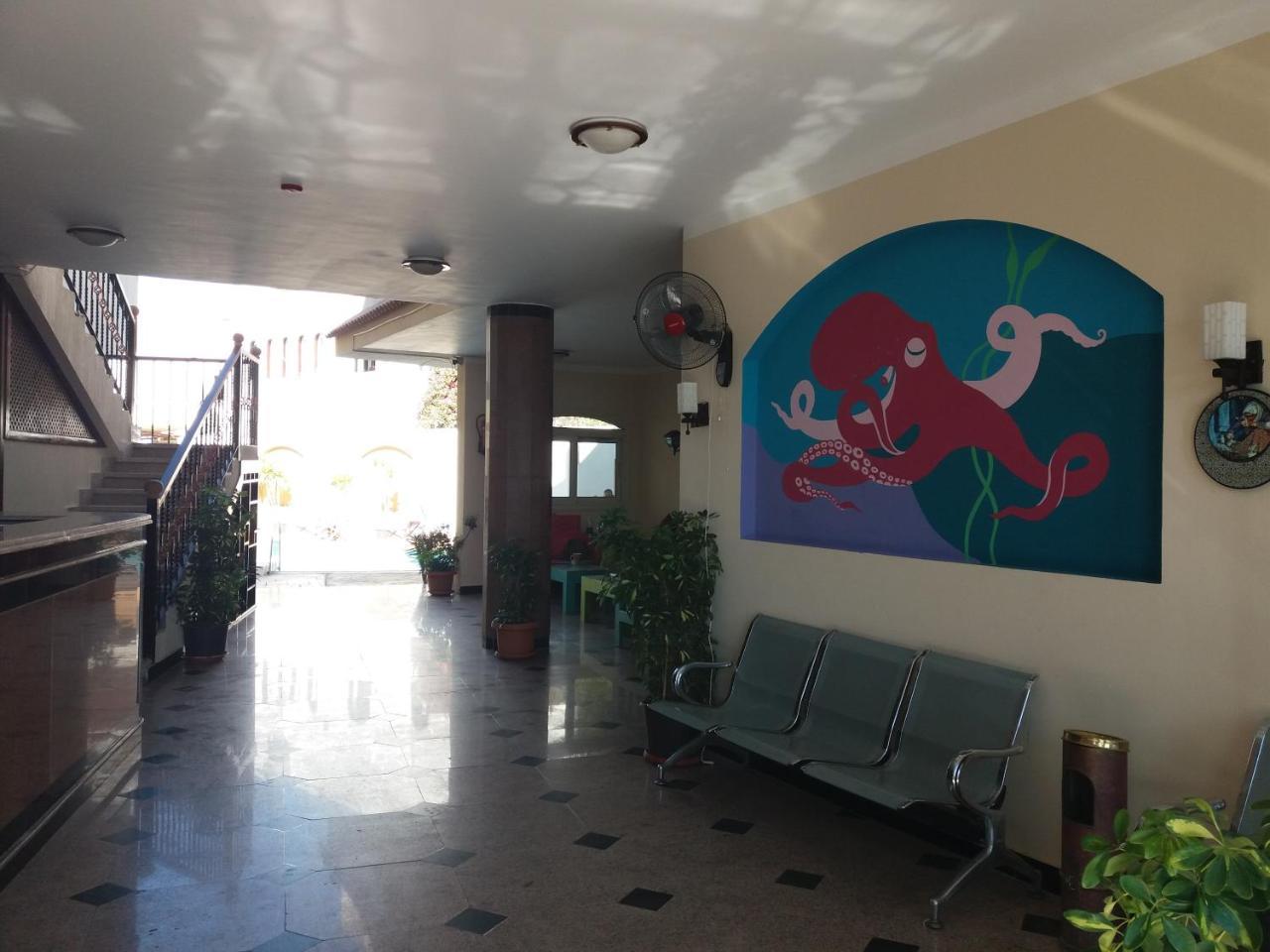 New Yalla Hotel Dahab Extérieur photo