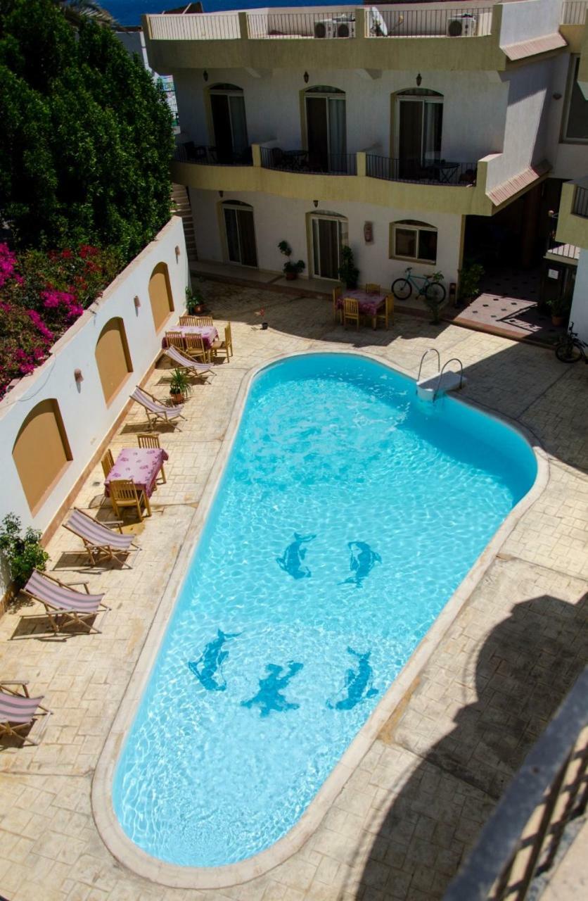 New Yalla Hotel Dahab Extérieur photo